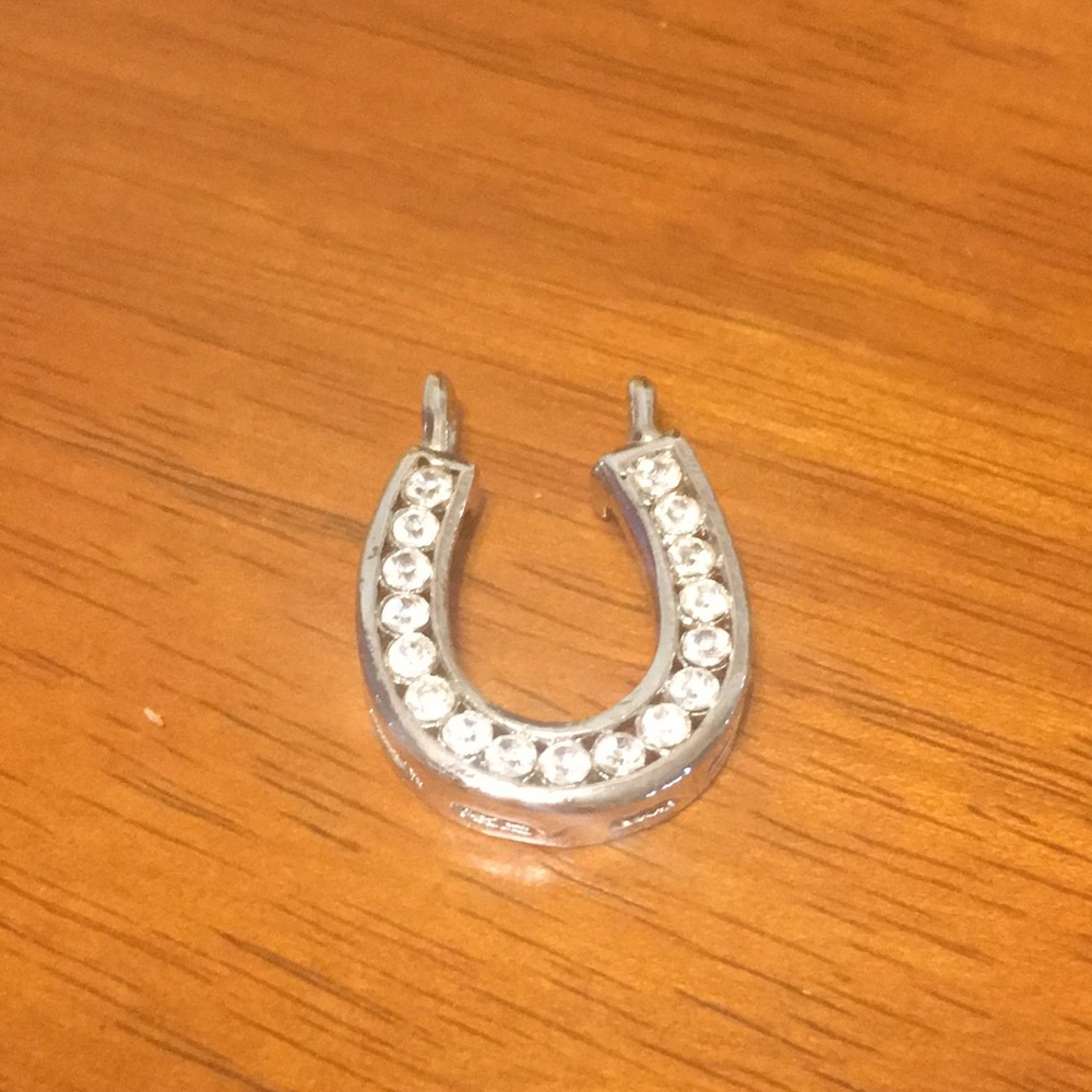 Horseshoe pendant